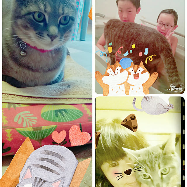 oyumiさんの実例写真