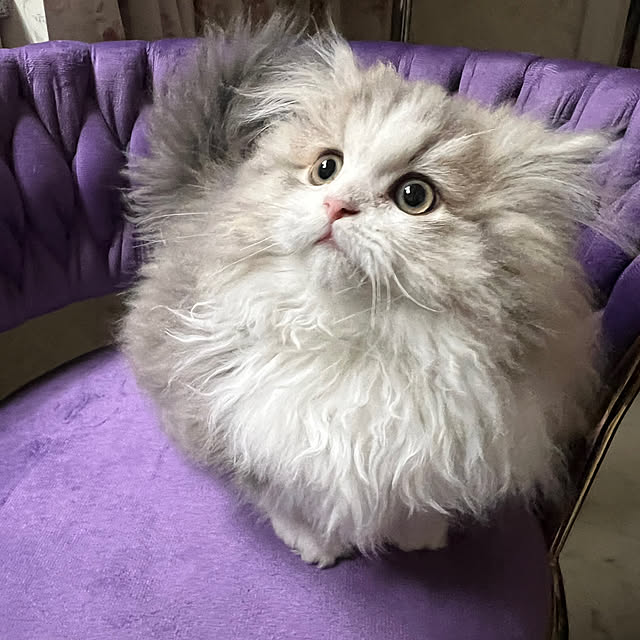 AYUKOさんの部屋