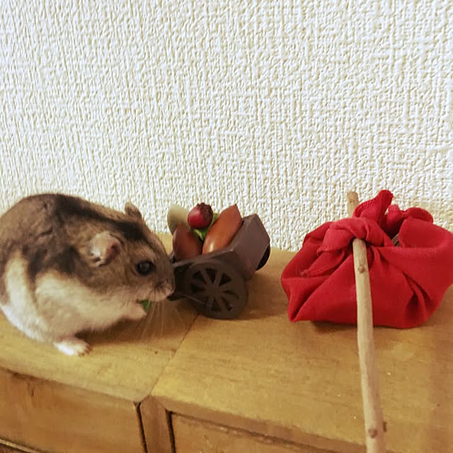 w.bさんの実例写真