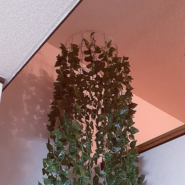 takayasuさんの実例写真