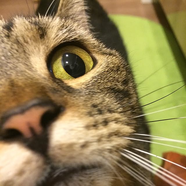 mikomaruさんの実例写真