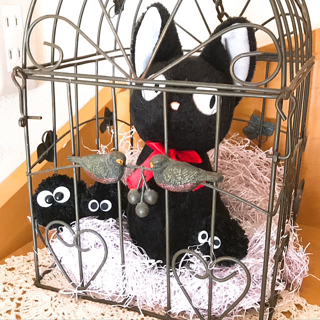 **yuu**さんの実例写真