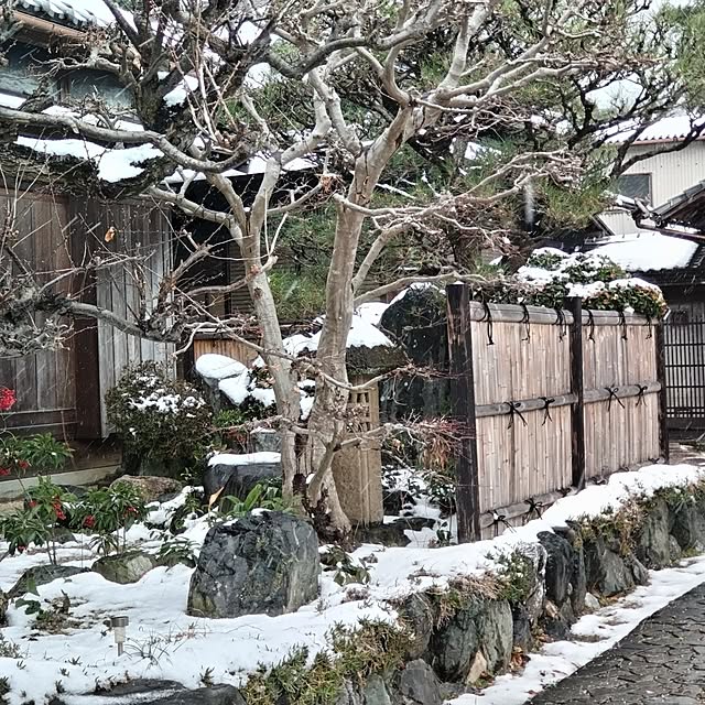 kuririnmamaさんの部屋