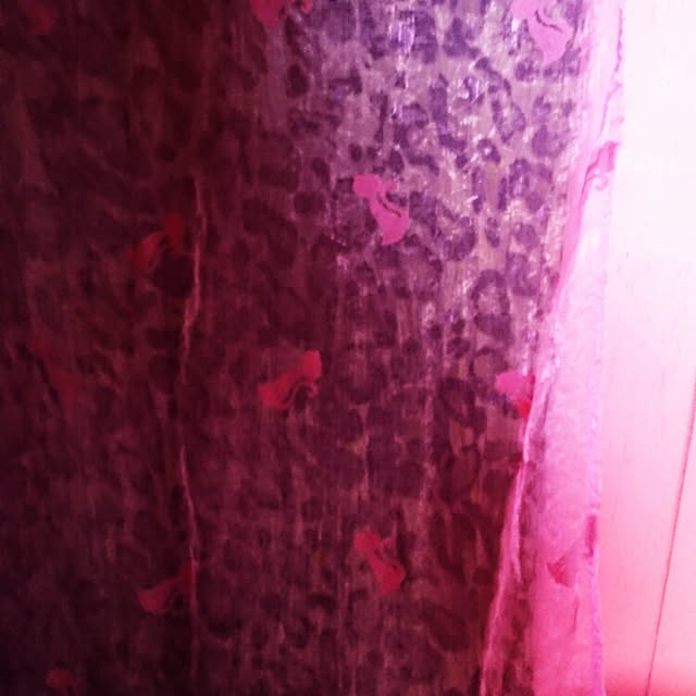 acopyさんの実例写真