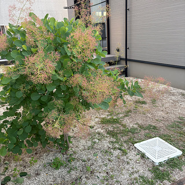 yuuyuさんの部屋