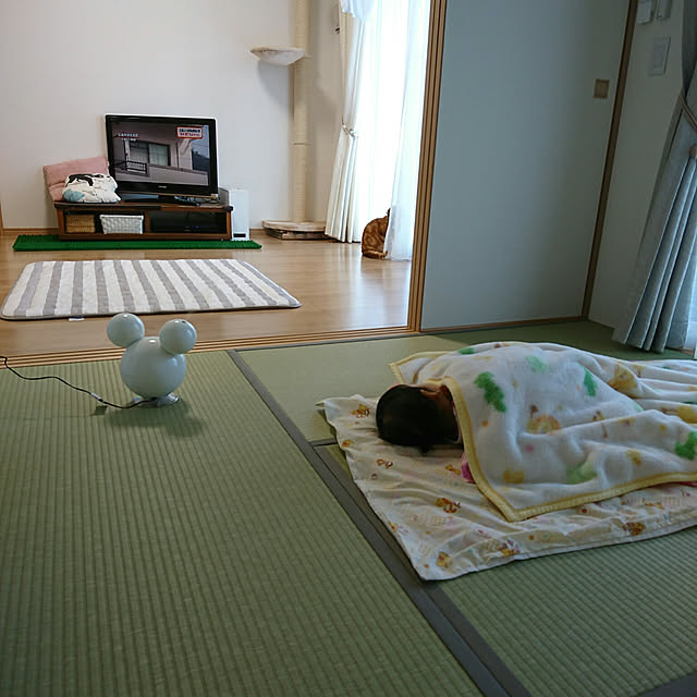 naoさんの実例写真