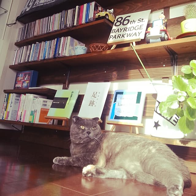 daiさんの実例写真