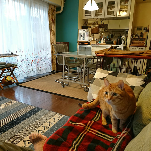 okyosan101さんの実例写真