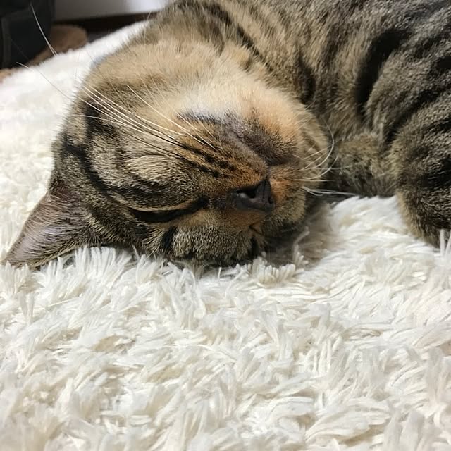 mori_6_12さんの部屋