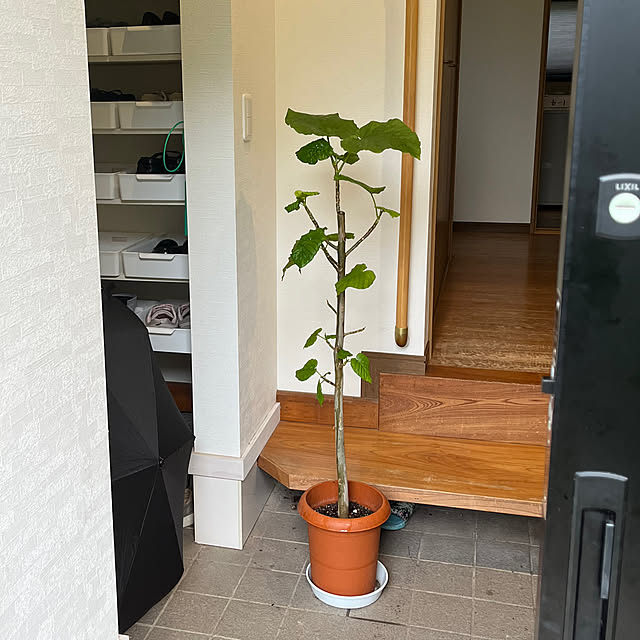 Attaさんの部屋