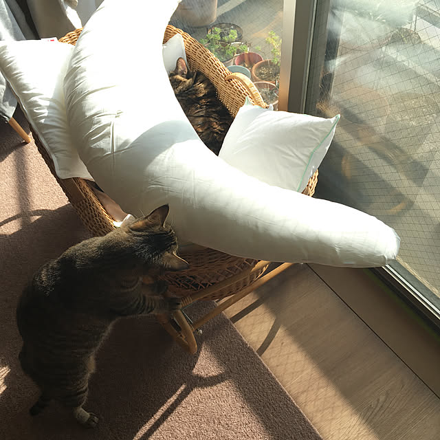 mikomaruさんの実例写真