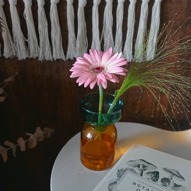 cafe0415hさんの部屋