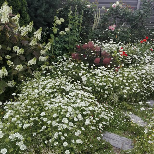 noraさんの実例写真
