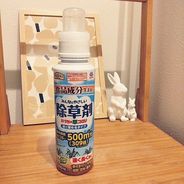 chocococoaさんの実例写真