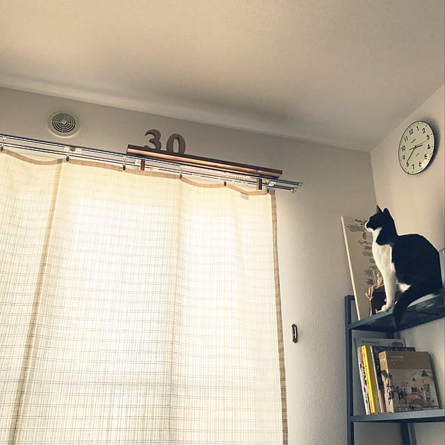 mizeroさんの実例写真