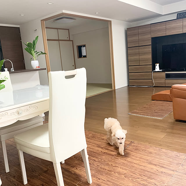 Kanmiさんの部屋