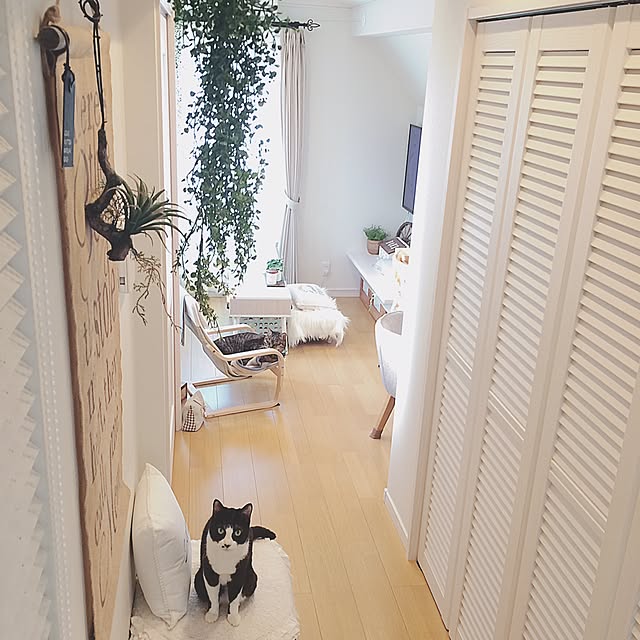 lovecatさんの実例写真