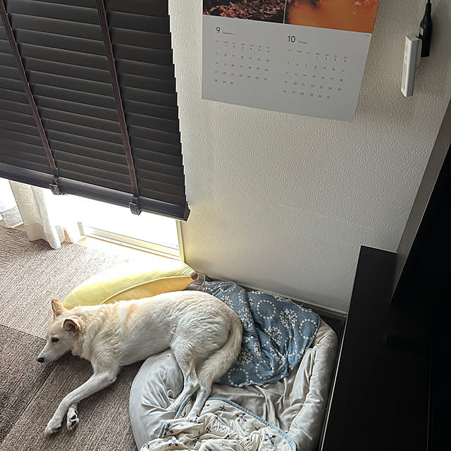 tanboさんの部屋