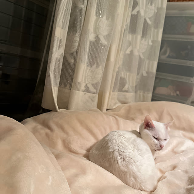 hanaさんの実例写真