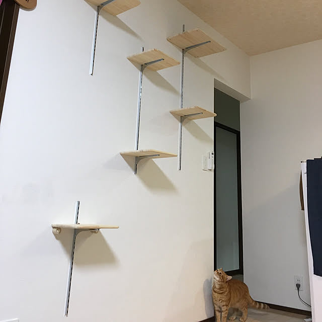nekoさんの実例写真