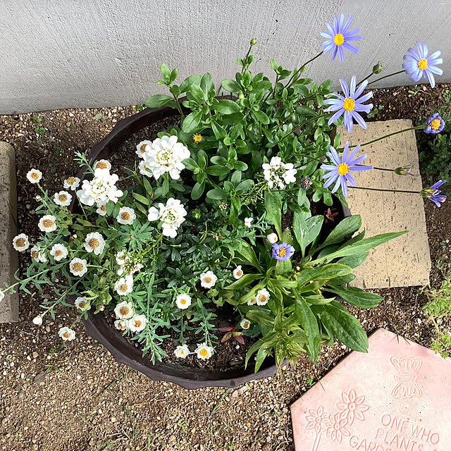 haruminさんの部屋