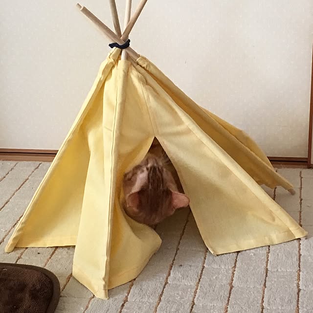 baronkotarouさんの実例写真