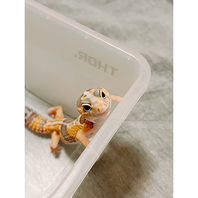 w_end_0625さんの実例写真