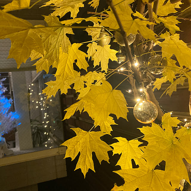 kayokos0801さんの実例写真