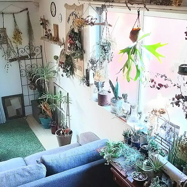 mai.tameさんの実例写真