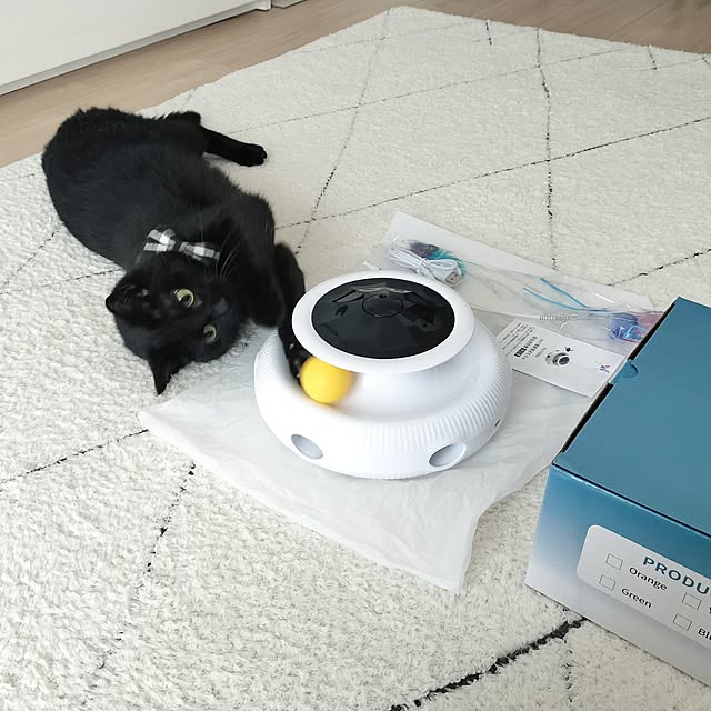 sakuraさんの部屋