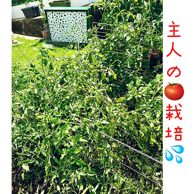 kittyさんの部屋