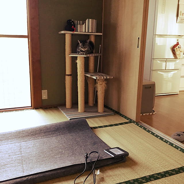 richanさんの実例写真