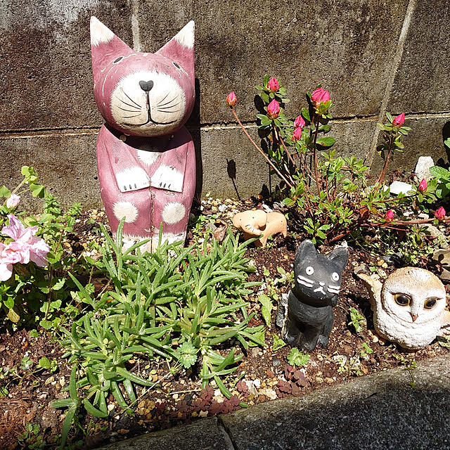 fukuさんの実例写真