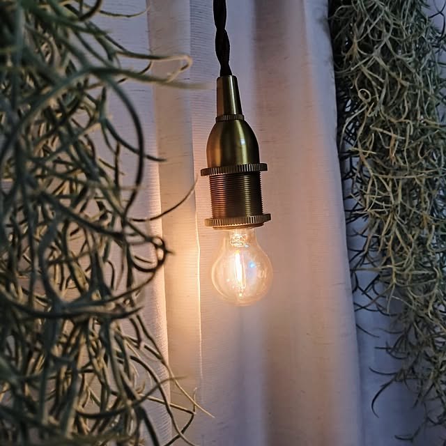 Petit_Pommierさんの実例写真