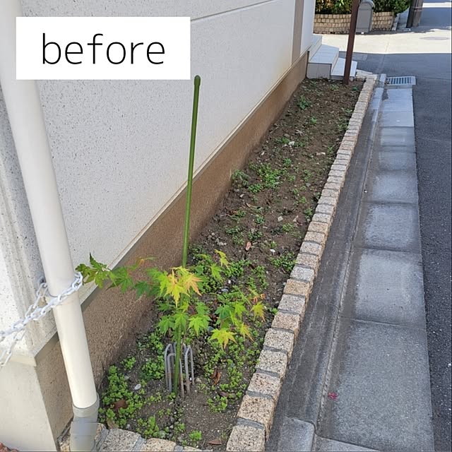 suzuさんの実例写真