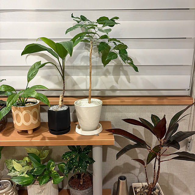 ikuzakさんの部屋