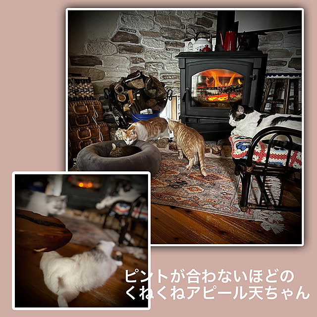 marusanさんの実例写真