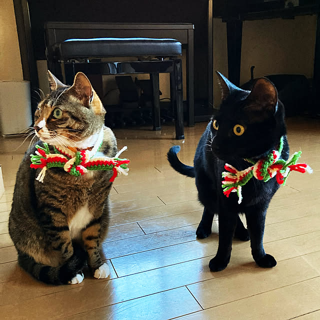 suemonta14さんの実例写真