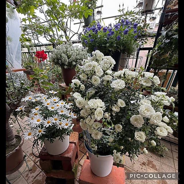 Aqettyさんの部屋