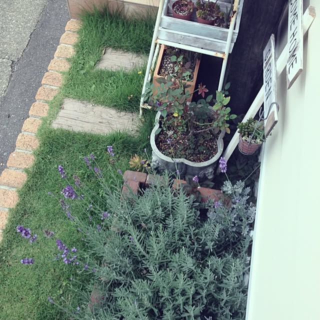 Nanaさんの実例写真