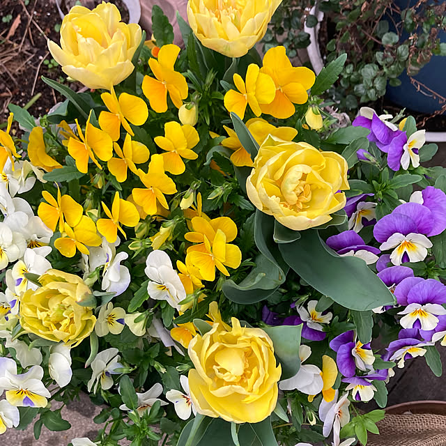 amiromikaさんの部屋