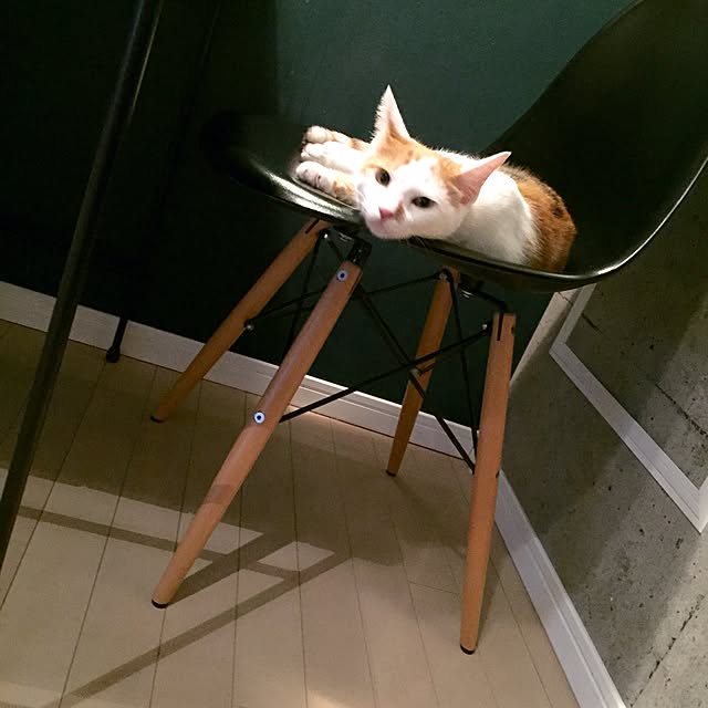 ziziguguさんの実例写真