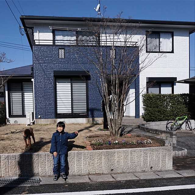 blueberryさんの実例写真