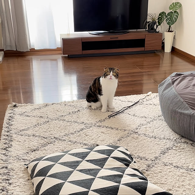 tansukeさんの実例写真