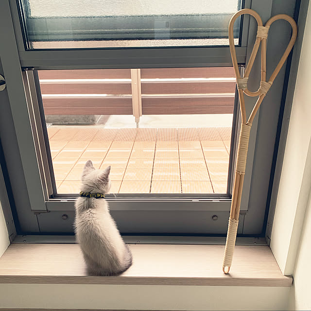 aichinさんの実例写真