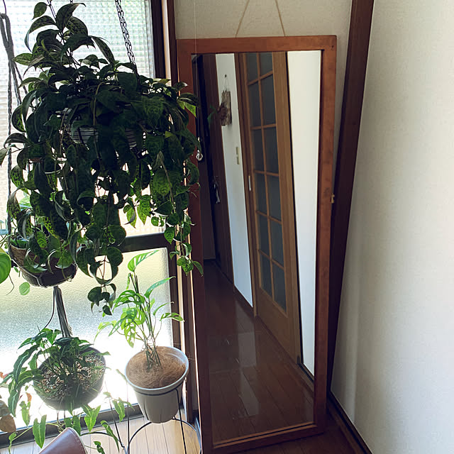 himmeli___.さんの実例写真