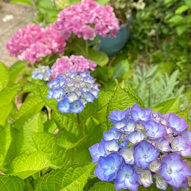 min_nimさんの部屋