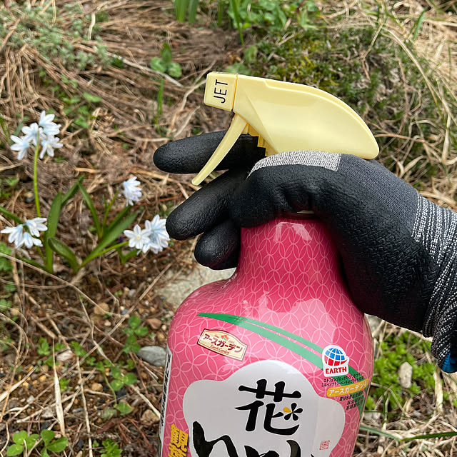 nattunさんの部屋