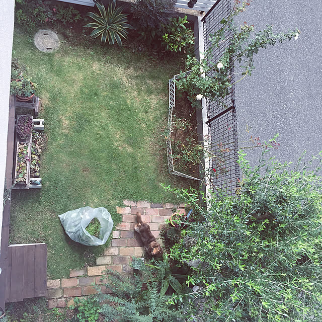 yupponさんの実例写真
