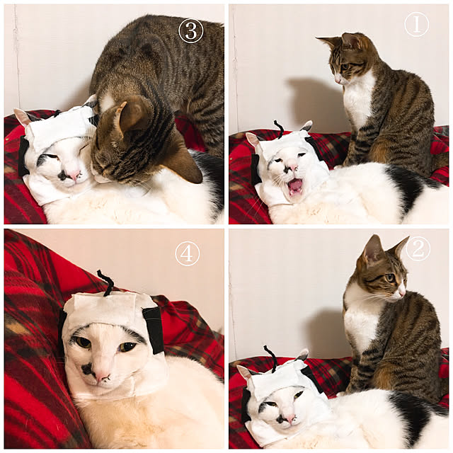nobikoさんの実例写真